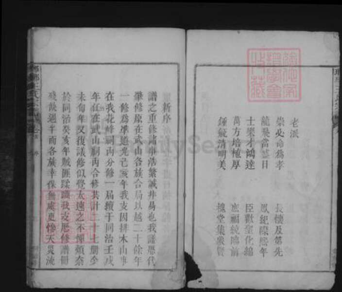 江西省九江市湖口县王氏族谱-琅琊王氏宗谱 [不分卷].pdf电子版预览图2