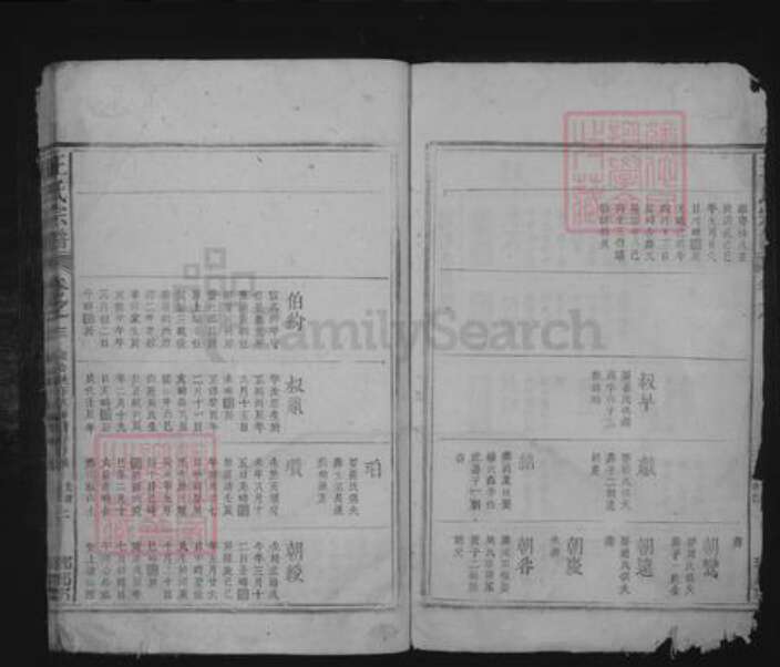 江西省九江市湖口县王氏族谱-王氏宗谱.pdf电子版预览图2