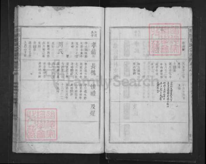 山东省临沂市临沂市王氏族谱-琅琊王氏宗谱.pdf电子版预览图2