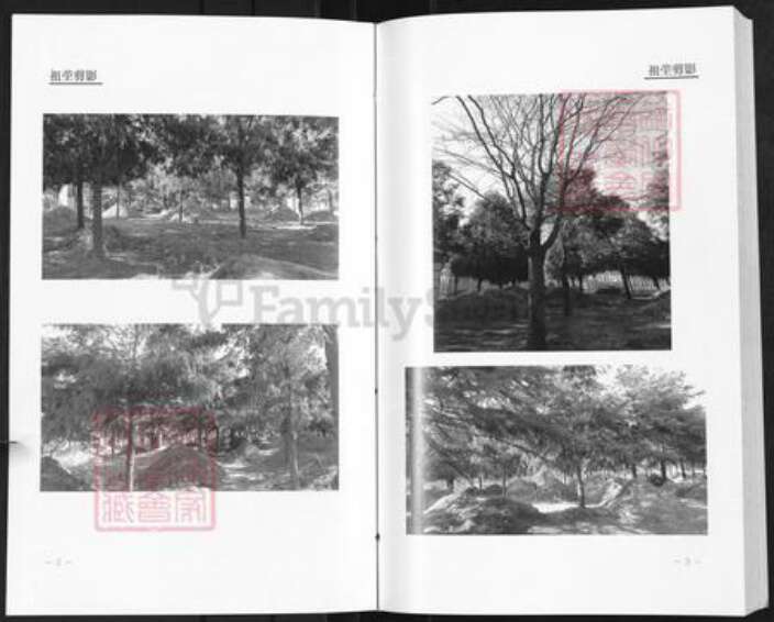 河南省开封市通许县王氏族谱-赵辉三槐王氏家谱.pdf电子版预览图2