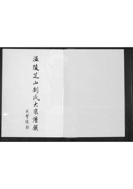 福建刘氏族谱-温陵芝山刘氏大宗谱牒.pdf电子版预览图2