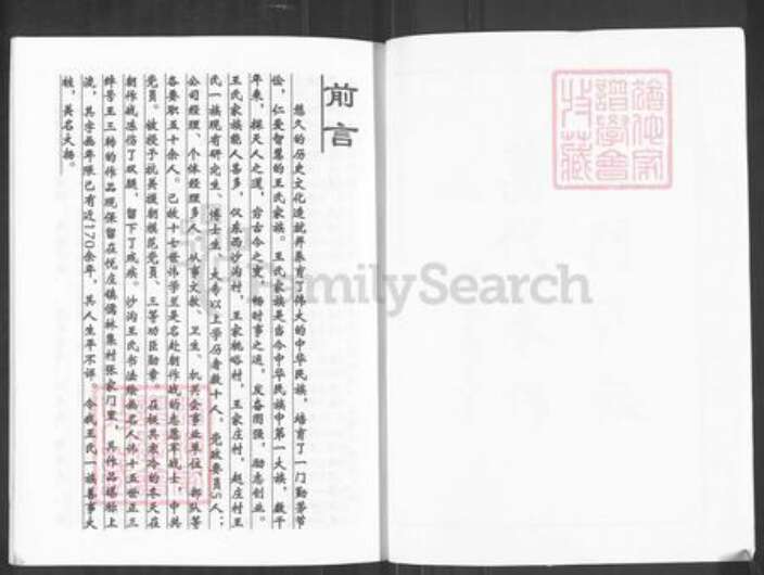 山东省淄博市沂源县中庄镇王氏族谱-王氏家谱.pdf电子版预览图2