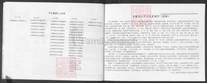 山西省吕梁市柳林县孟门镇王氏族谱-王氏家谱.pdf电子版预览图2