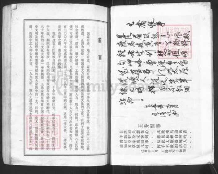 四川省达州市渠县三汇镇王氏族谱-王氏族谱.pdf电子版预览图2