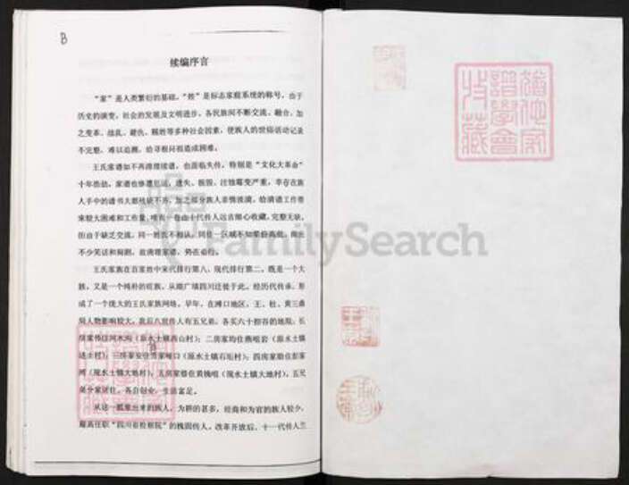 重庆市璧山区王氏善述堂族谱-柯家桥宗祠王氏族谱书.pdf电子版预览图2