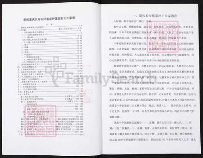 重庆市长寿区邻封镇王氏族谱-王氏家谱.pdf电子版预览图2