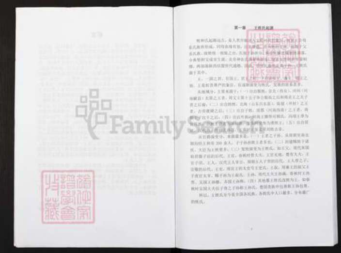 重庆市酆都县王氏三槐堂族谱-重庆市丰都县董家镇蜡烛塘王氏族谱.pdf电子版预览图2