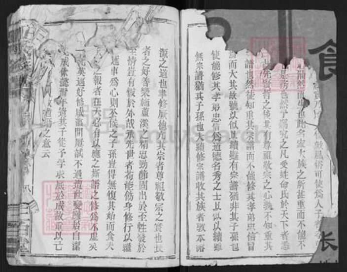 江西省吉安市安福县王氏三白堂族谱-王氏族谱.pdf电子版预览图2