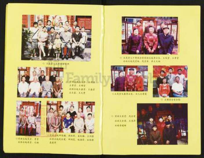 山西省吕梁市汾阳市王氏族谱-王氏家谱.pdf电子版预览图2