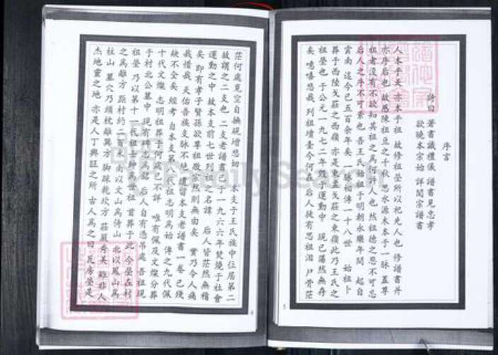 山东省青岛市即墨区王氏族谱-王氏二支谱.pdf电子版预览图2