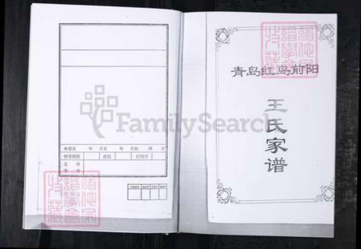 山东省青岛市城阳区王氏族谱-王氏家谱.城阳区红岛前阳村.pdf电子版预览图2