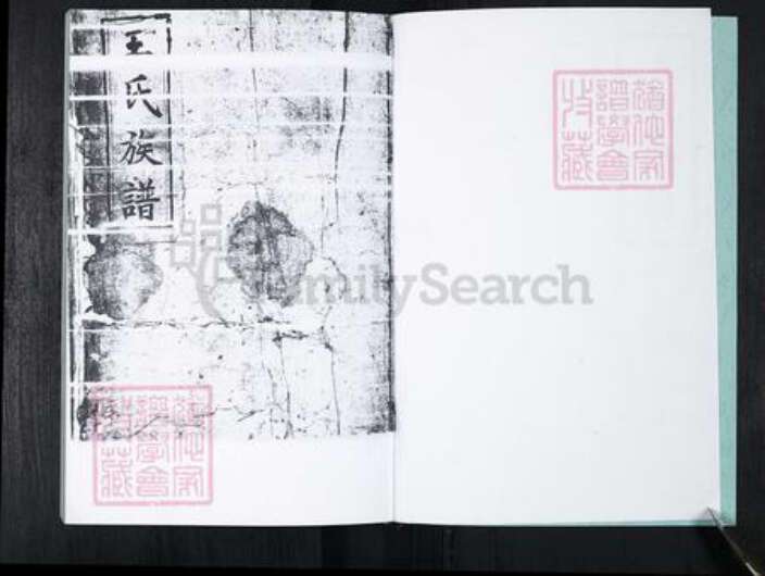 山东省青岛市崂山区王氏族谱-中韩社区王氏族谱.pdf电子版预览图2