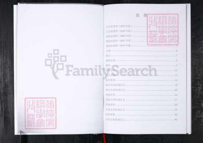 山东省青岛市王氏族谱-王氏族谱.韩村荆沟西城东城信村.pdf电子版预览图2