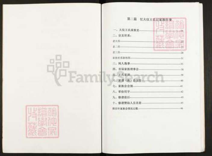 江苏省扬州市仪征市大仪镇王氏三槐堂族谱-王氏家谱.pdf电子版预览图2