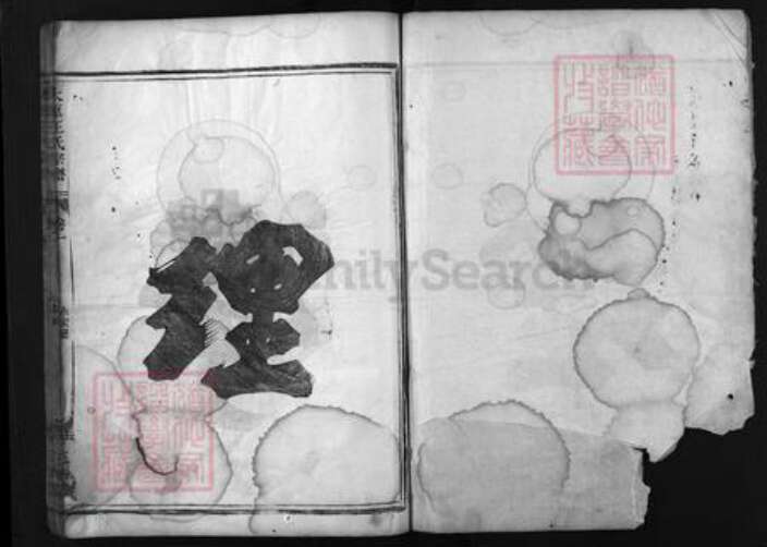 浙江省王氏族谱-太原王氏宗谱 [残卷].pdf电子版预览图2