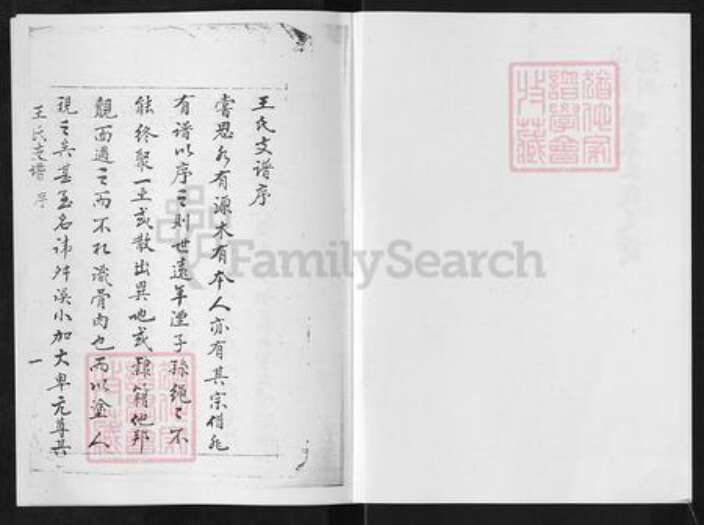 山东省淄博市淄川区王氏族谱-山东淄川城东王氏支谱.pdf电子版预览图2