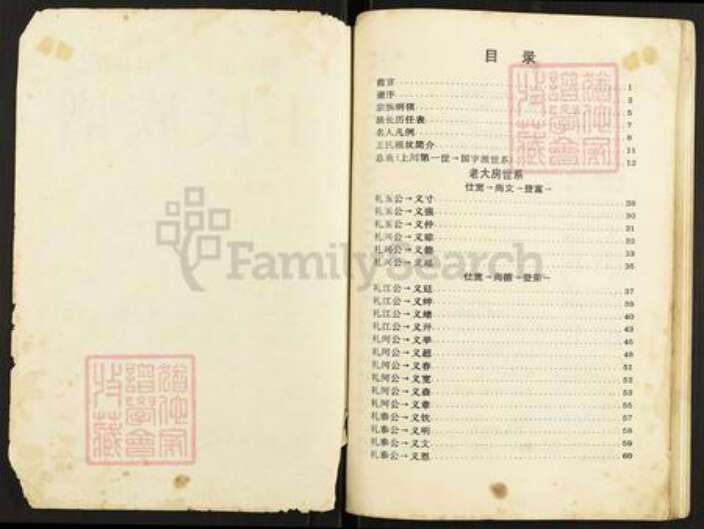 重庆市云阳县王氏族谱-王氏族谱.pdf电子版预览图2