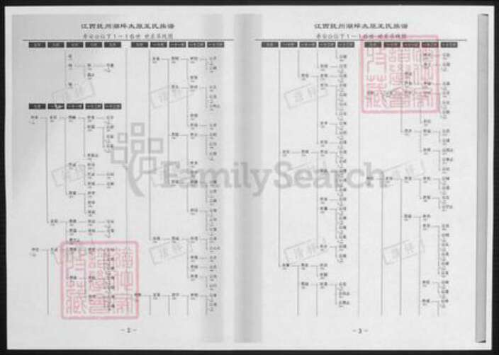 江西省抚州市王氏族谱-江西抚州湖坪太原王氏族谱.pdf电子版预览图2