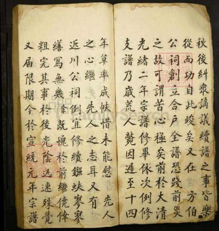 山西省运城市盐湖区山西省运城市闻喜县王氏族谱-西村王氏家乘谱.pdf电子版预览图2