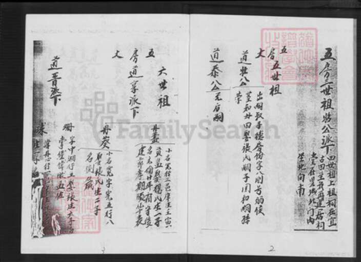 福建省漳州市平和县大溪镇陈氏树德堂族谱-颍川陈氏族谱.pdf电子版预览图2