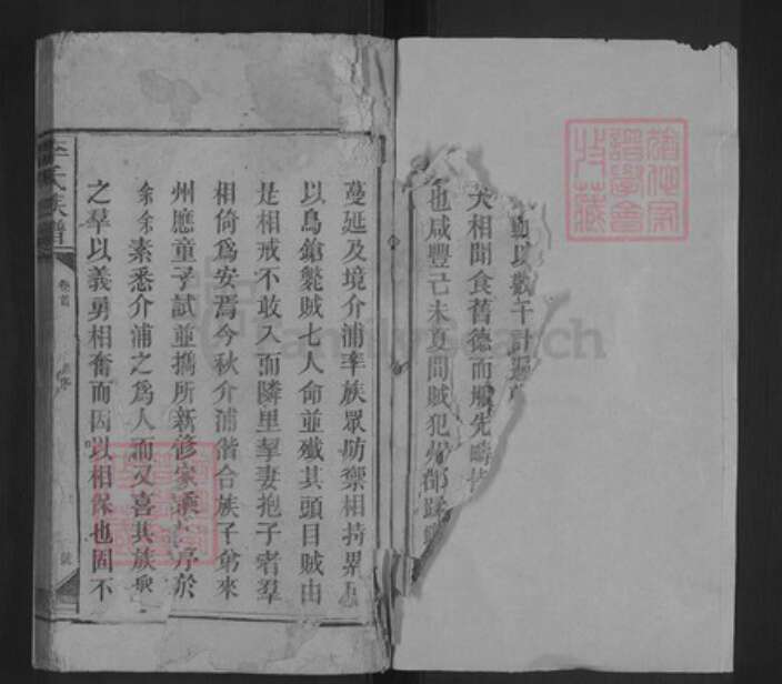 湖南省邵阳市洞口县杨林镇李氏族谱-李氏族谱.pdf电子版预览图2