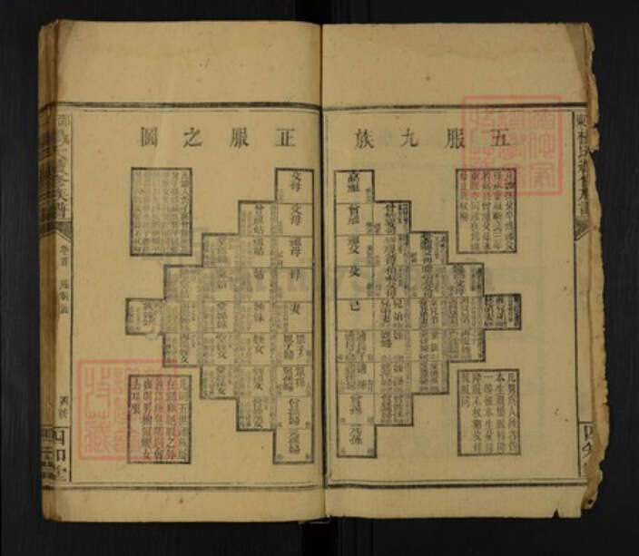 湖南省邵阳市邵东杨氏四知堂族谱-邵东杨氏续修族谱.pdf电子版预览图2