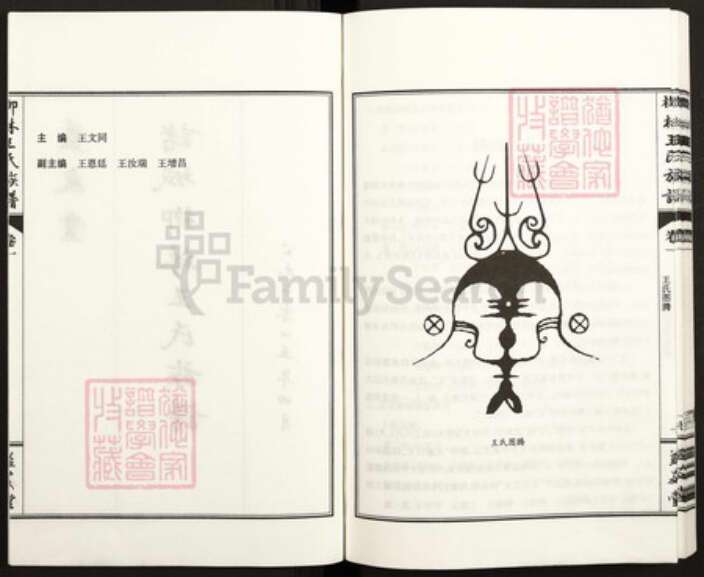 山东省潍坊市诸城市皇华镇王氏益友堂族谱-诸城柳林王氏族谱.pdf电子版预览图2