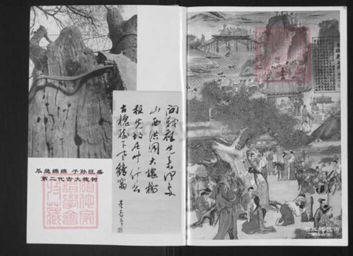 山西省临汾市洪洞县张；张氏族谱-洪桐大槐树百姓家谱.张氏家谱.pdf电子版预览图2