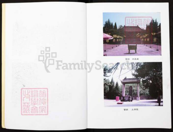 湖南省永州市湖南省永州市谢；谢氏宝树堂族谱-谢氏周保公宗谱.pdf电子版预览图2