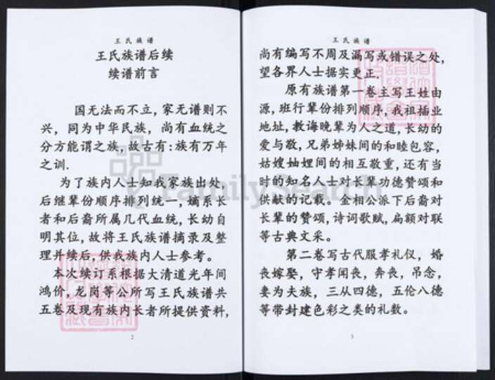 重庆市渝北区王氏袭槐堂族谱-王氏族谱.pdf电子版预览图2