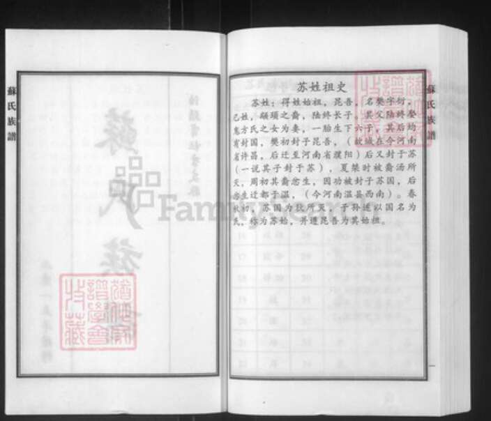 河北省沧州泊头市泊镇镇苏氏族谱-苏氏族谱.pdf电子版预览图2