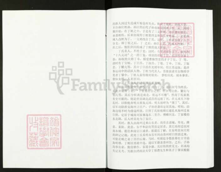 山东省日照市丁氏族谱-丁氏族谱.pdf电子版预览图2