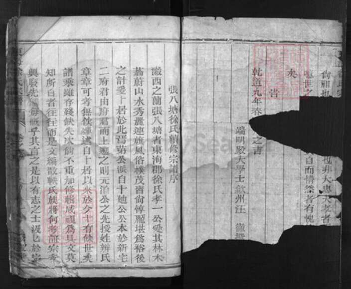 浙江省徐氏族谱-东海徐氏宗谱 [4卷].pdf电子版预览图2