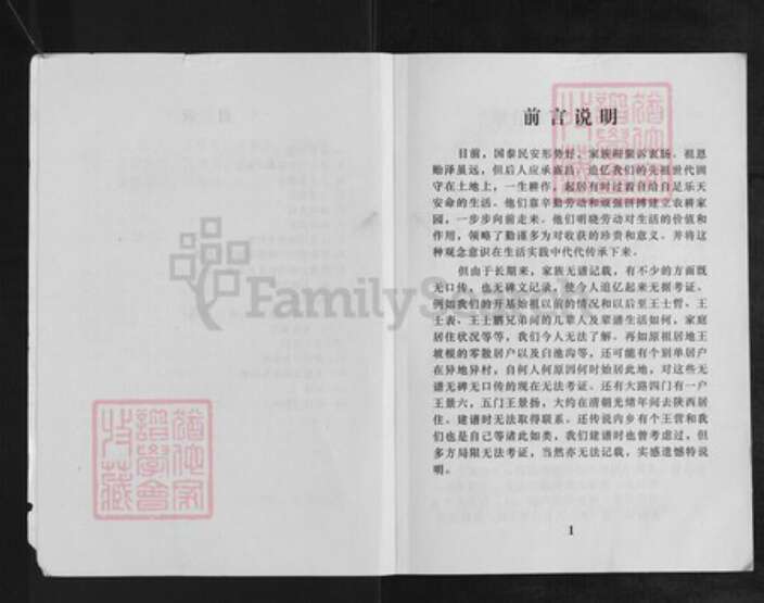 河南省南阳市淅川县王氏族谱-王氏宗谱.pdf电子版预览图2