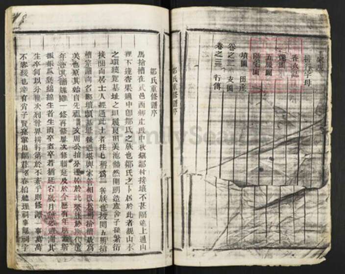 浙江省金华市武义县邹氏族谱-武义邹氏宗谱.pdf电子版预览图2