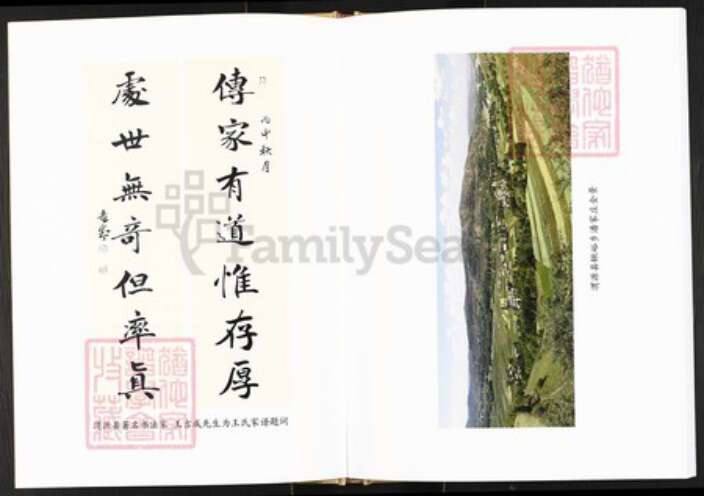 甘肃省定西市渭源县王氏族谱-王氏家谱.pdf电子版预览图2