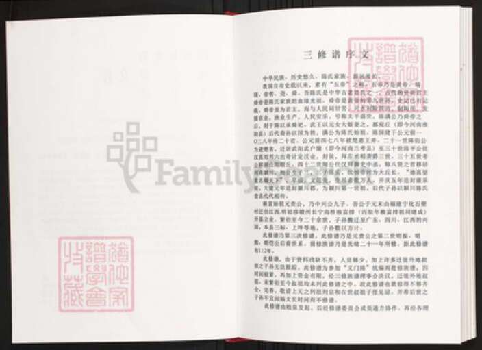 江西省赣州市寻乌县陈氏族谱-颖川堂陈氏族谱.pdf电子版预览图2