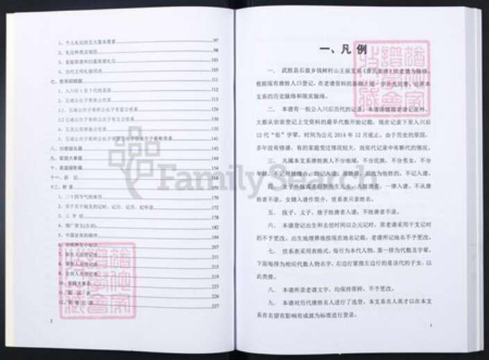 四川省广安市武胜县唐氏族谱-晋阳郡唐氏宗谱.pdf电子版预览图2