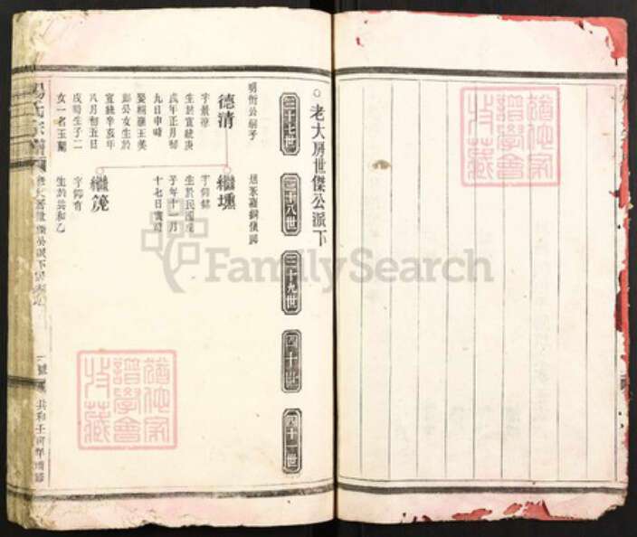 浙江省温州市瑞安市瑞安杨氏绍槐堂族谱-杨氏宗谱.pdf电子版预览图2