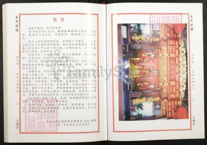 湖北省武汉市新洲区王氏族谱-王氏宗谱.pdf电子版预览图2