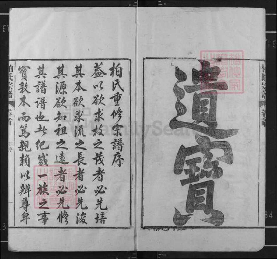 河北省邢台临城县柏氏族谱-临城柏氏宗谱.pdf电子版预览图2