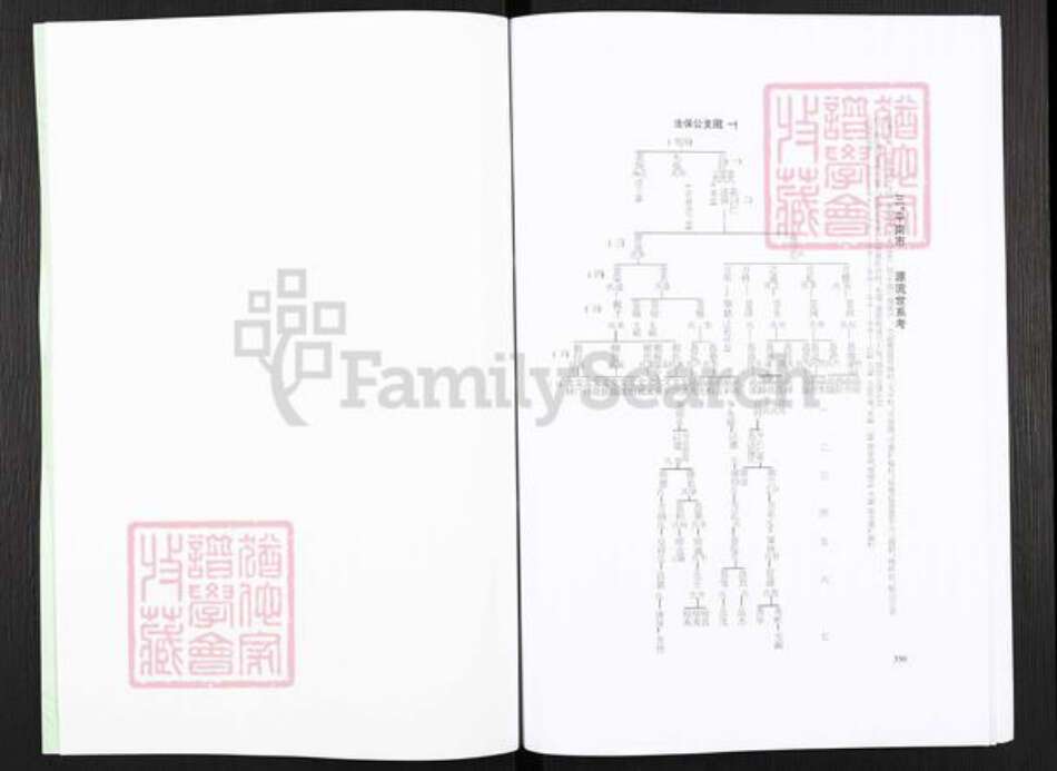 广西壮族自治区玉林平南大鹏镇岑氏族谱-岑氏族谱.pdf电子版预览图2