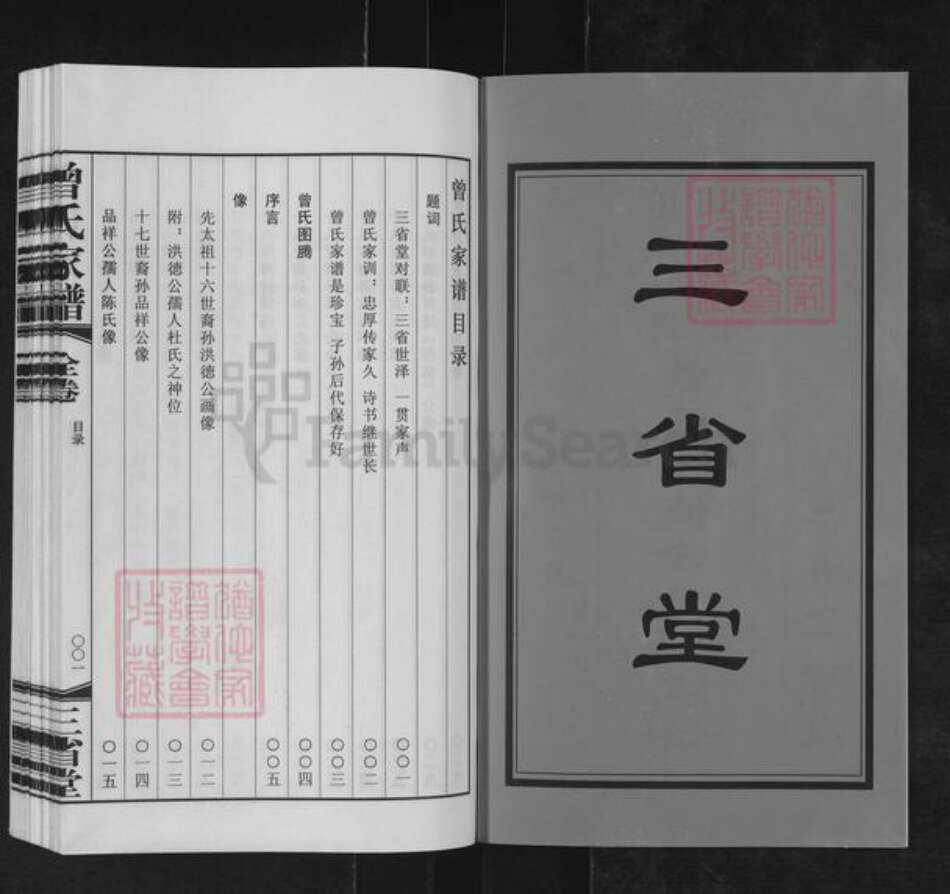 江苏省无锡市宜兴市官林镇曾氏三省堂族谱-江苏宜兴官林亳渎曾氏洪德公分支家谱.pdf电子版预览图2