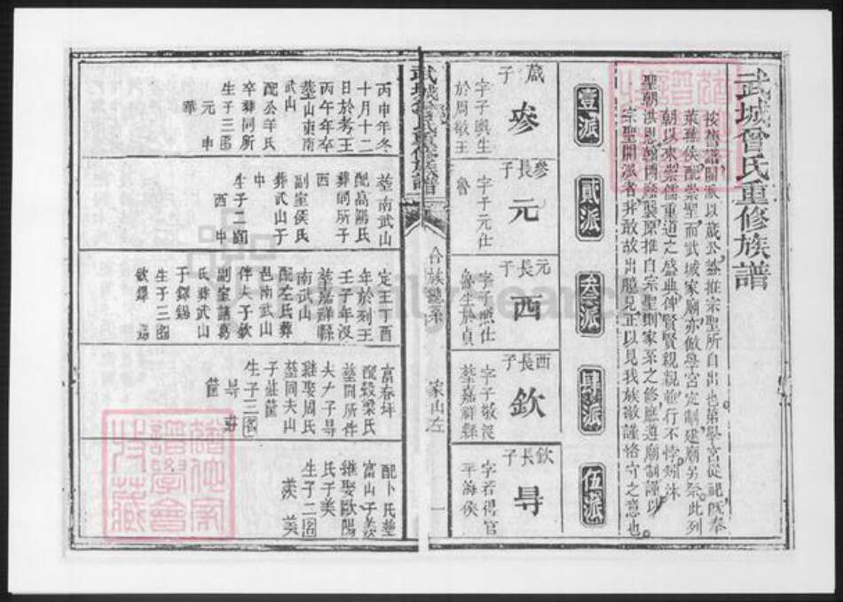 山东省曾氏族谱-武城曾氏重修族谱.pdf电子版预览图2