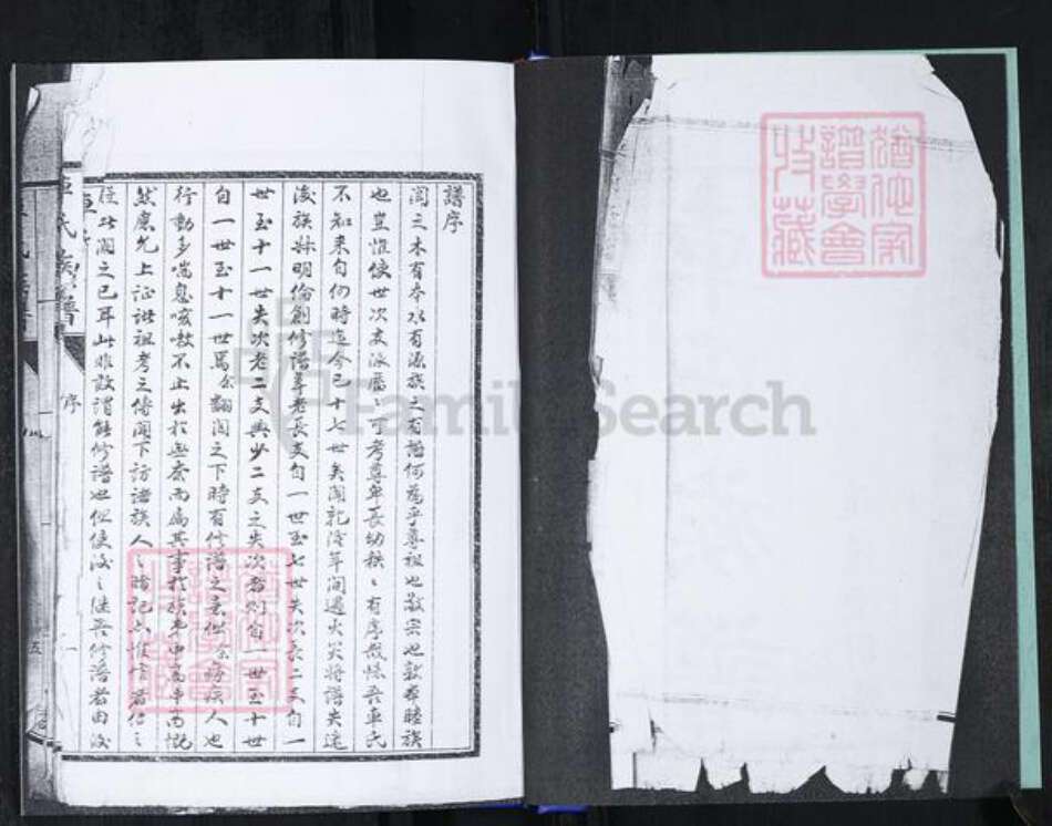 山东省青岛市崂山区车氏族谱-车氏族谱.pdf电子版预览图2