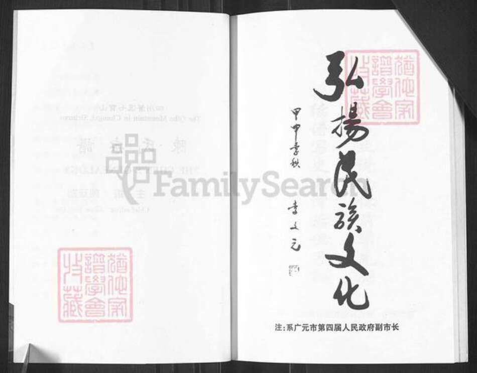 四川省广元市苍溪县八庙镇陈氏族谱-陈氏宗谱.pdf电子版预览图2