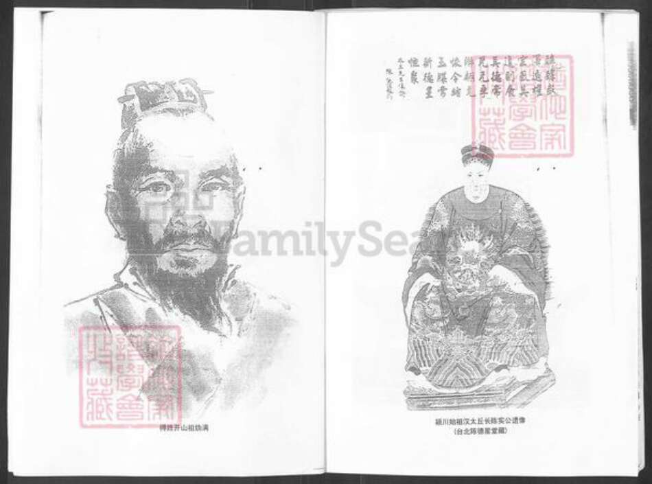 山东省烟台市栖霞市陈氏族谱-陈氏族谱.pdf电子版预览图2