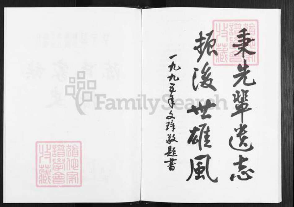 江苏省盐城市阜宁县陈集镇陈氏族谱-陈氏家谱.pdf电子版预览图2