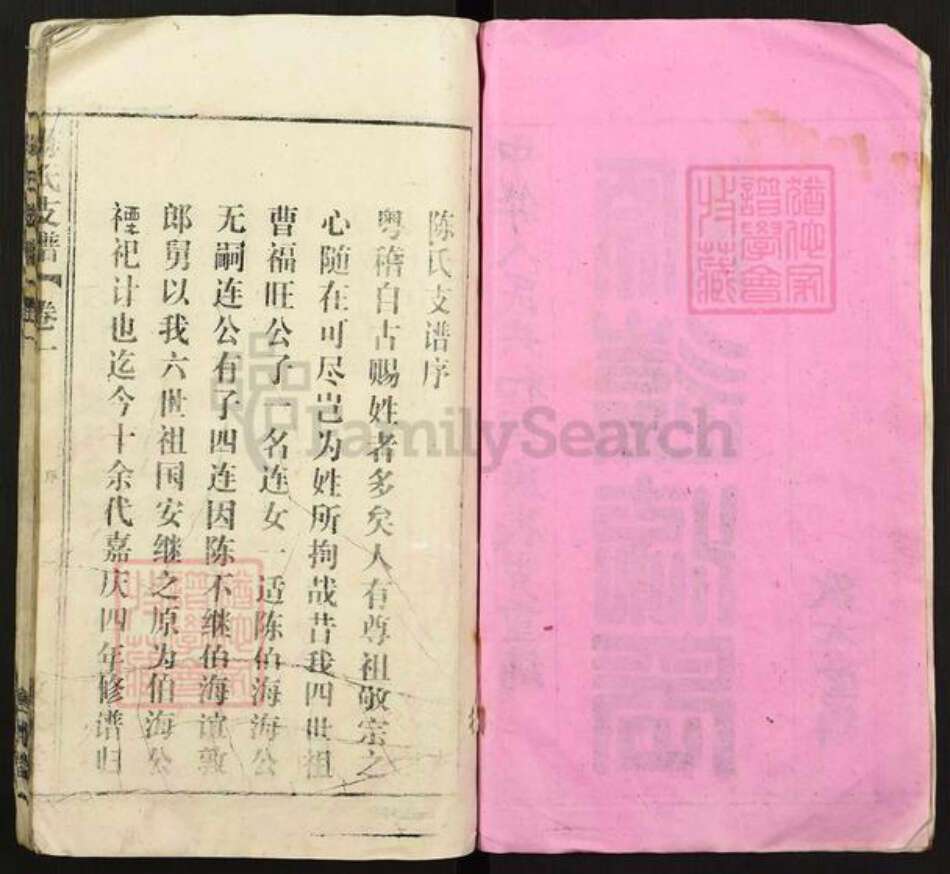 安徽省安庆市怀宁县陈氏敦本堂族谱-陈氏支谱.pdf电子版预览图2