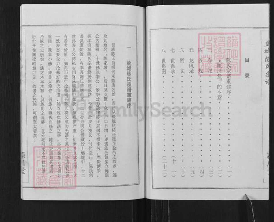 江苏省盐城市建湖县陈氏颖川堂族谱-盐城陈氏宗谱.pdf电子版预览图2